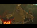 I don't remember this scene from botw...