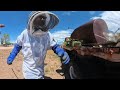 Boneyard Beepocalypse Pt 3: The Final Straw [4K HD 360°]