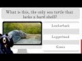 Animal World Quiz - How Many Can You Answer? 100 Questions