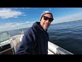 LIGHTS OUT Tautog (Blackfish) Fishing | Entire Fish Catch Clean Cook