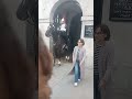UNBELIEVABLE SCENES YOU MUST WATCH WHEN THE ROYAL GUARD HORSE TRIED TO SNATCH A TOURIST BAG #viral