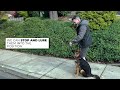 Teaching Your Dog How to Walk Nicely on Leash!