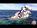 80 Unbelievable IDIOTS in Boats Caught on Camera! #30