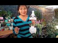 Ideas fáciles para el jardín con botellas plásticas -Gris Moreno Ideas