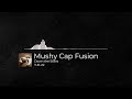 Down the Stairs by Mushy Cap Fusion