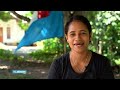 Moluks dorp trots op Oranje-international Tijjani Reijnders