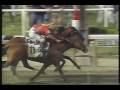 Victory Gallop Belmont Stakes 1998 - Thrilling finish - Triple Crown lost by a nose