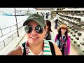 Norwegian Jewel Cruise Embarks from Manila for the First Time: FULL 12 Day Vlog Experience