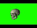Spinning Skeleton (Green Screen) UHD