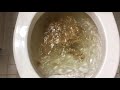 Will it Flush? - Chips Ahoy Cookies