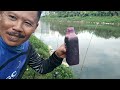 joran terbang strike bertubi tubi || mancing ikan keli afrika monster