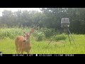 Browning Deer Feeder Cam: Spec Ops Edge Trail Camera July 17-25, 2024