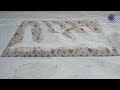 How to make stains disappear from a rug like a PRO | satisfying asmr rug cleaning