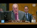 Algeria Envoy to UN Demands Immediate Action to Stop Israel's Gaza Assault | Dawn News English