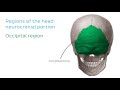 Regions of the head and neck (preview) - Human Anatomy | Kenhub
