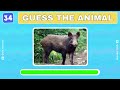 Guess 50 Animals in 5 Seconds 🦁🐼🐵| Guess The Animal Quiz 2024 | #quiz