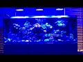 Using Apex and Alexa to quickly change your aquarium lighting