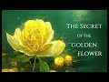 The Secret of the Golden Flower ~ A Synthesis ~ Inner Alchemy