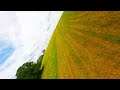 full vid: flying a fpv freestyle drone while there is a dog around - tanq