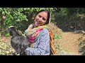 गाँव के पुराने घर और खुशहाल लोग || Pahadi Lifestyle Vlog || Anjli Vlogs