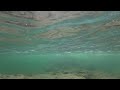 Somass River under water test