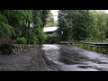 Overcome Insomnia and Fall Asleep Quickly with Rain Sounds on a Country Road. Nature White Noise