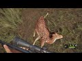 theHunter  Call of the Wild Max weight Axis Deer