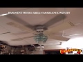 Ceiling Fans In My House (Volume 2)