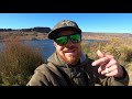 BEST Lipless Crankbait Fishing Day EVER - How To Fish Lipless Crankbaits (Explained)