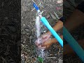 Trick Free electricity | I turn PVC pipe into a water pump at home free no need electricity power