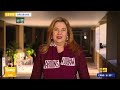 Today team relives Maroons’ incredible Origin win over the Blues | Today Show Australia