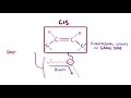 Biochemistry 101: Lipids and Membranes (Lecture 8 of 12)