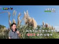 비껴간 맹세 - 황금길 Cover  (원곡가수  박우철)