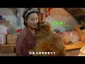 Dogs love massages too, so let's give Dawang a full-body massage!【阿盆姐家的大王】