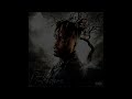 [FREE] Juice WRLD Type Beat - 