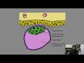 Germ Layer Embryology | Gastrulation Video
