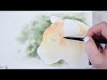 The Ultimate Watercolor Sketchbook Comparison