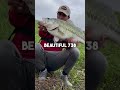 Jigs Catch BIG BASS!