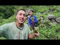 पहाड़ों में जंगल में पाए जाने वाली स्वादिष्ट सब्जी || Pahadi Lifestyle Vlog || Cool Pahadi