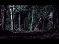 PLATOON - TRAILER [HD] (Updated)