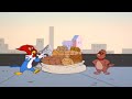 Woody Joins A Pirate Crew | Woody Woodpecker