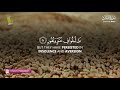 Surah Al Mulk سورة الملك | Heart touching soothing relaxing Quran | Zikrullah TV