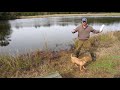 Water Introduction - Gun Dog Retriever Training