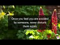 A person who truly loves you will always try to... | Factopia Insights