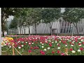 EARLY WALKING At THE PARK WITH BEAUTIFUL FLOWERS/ ATEBEBSTV