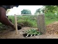 Unique Rabbit Trap - Unique Quick Rabbit Trap Using Deep Fall Work 100%