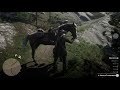 Red Dead Redemption 2 Magic Horse