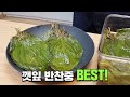 깻잎 삭히기 '이것' 꼭 넣으세요 입에 짝짝 붙는 환상의 맛입니다