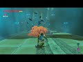 Sharing my Legend of Zelda Breath of the Wild Journey and Excitement for Tears of the Kingdom!