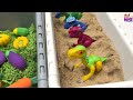 6 Type Small World For Animals | Farm Animals Sea Ocean Animals And Dinos